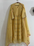 CC0036